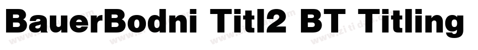 BauerBodni Titl2 BT Titling No.2字体转换